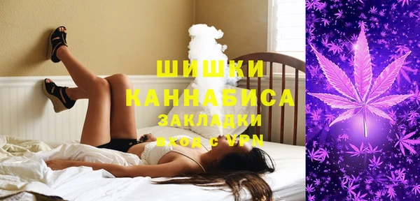 ГАЛЛЮЦИНОГЕННЫЕ ГРИБЫ Балахна