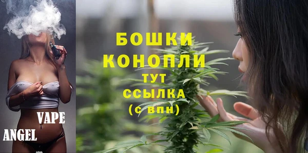 ГАЛЛЮЦИНОГЕННЫЕ ГРИБЫ Балахна