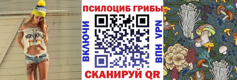 купить   Чусовой  Псилоцибиновые грибы Cubensis 